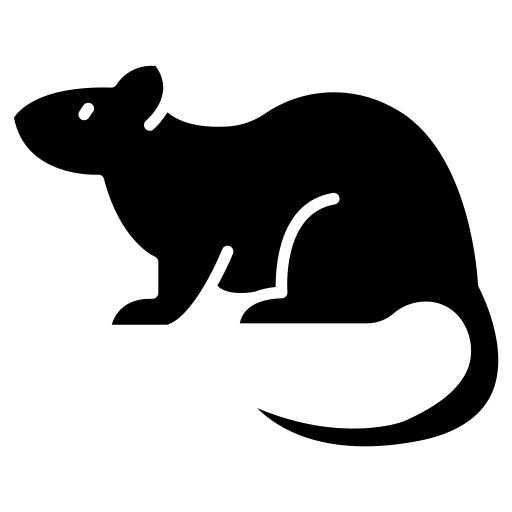 Rodent Control Services