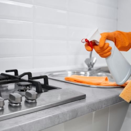 Bed Bug Control